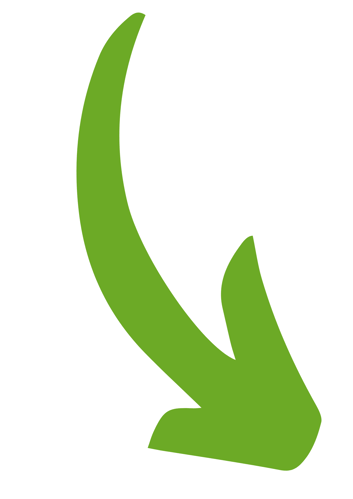 Pfeil-grün (1)